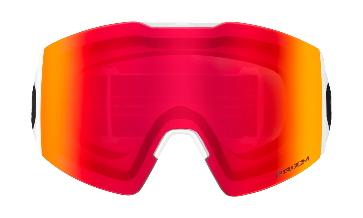 Fall Line L Snow Goggle