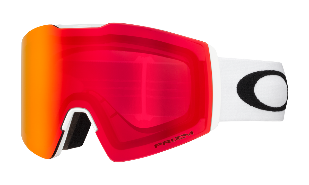 Fall Line L Snow Goggle