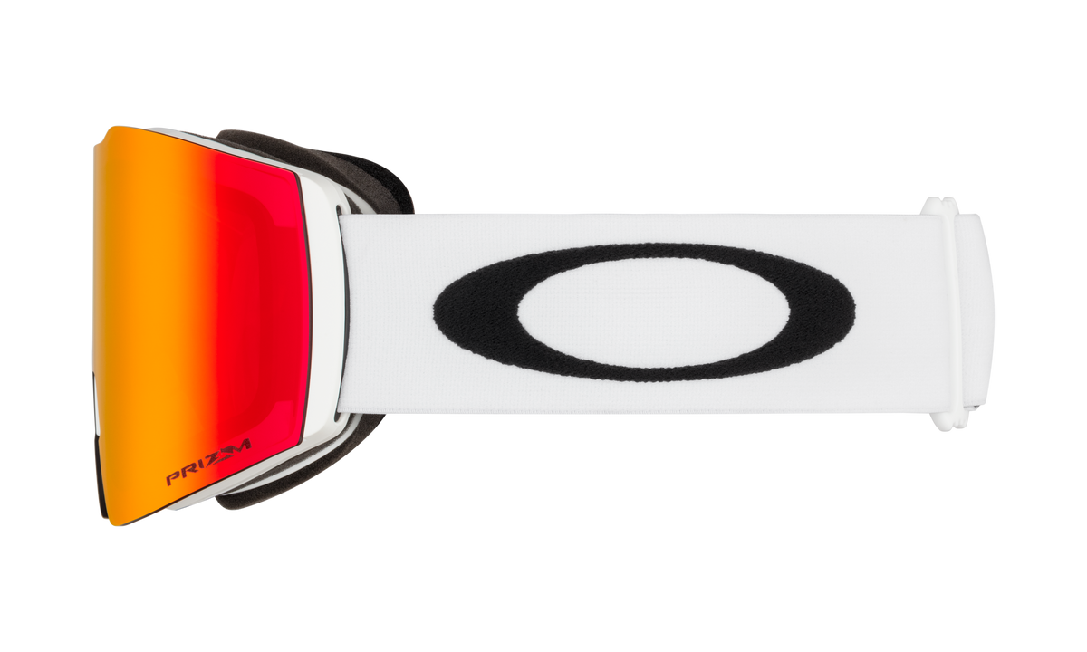Fall Line L Snow Goggle