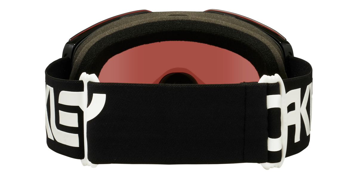 Fall Line L Snow Goggle