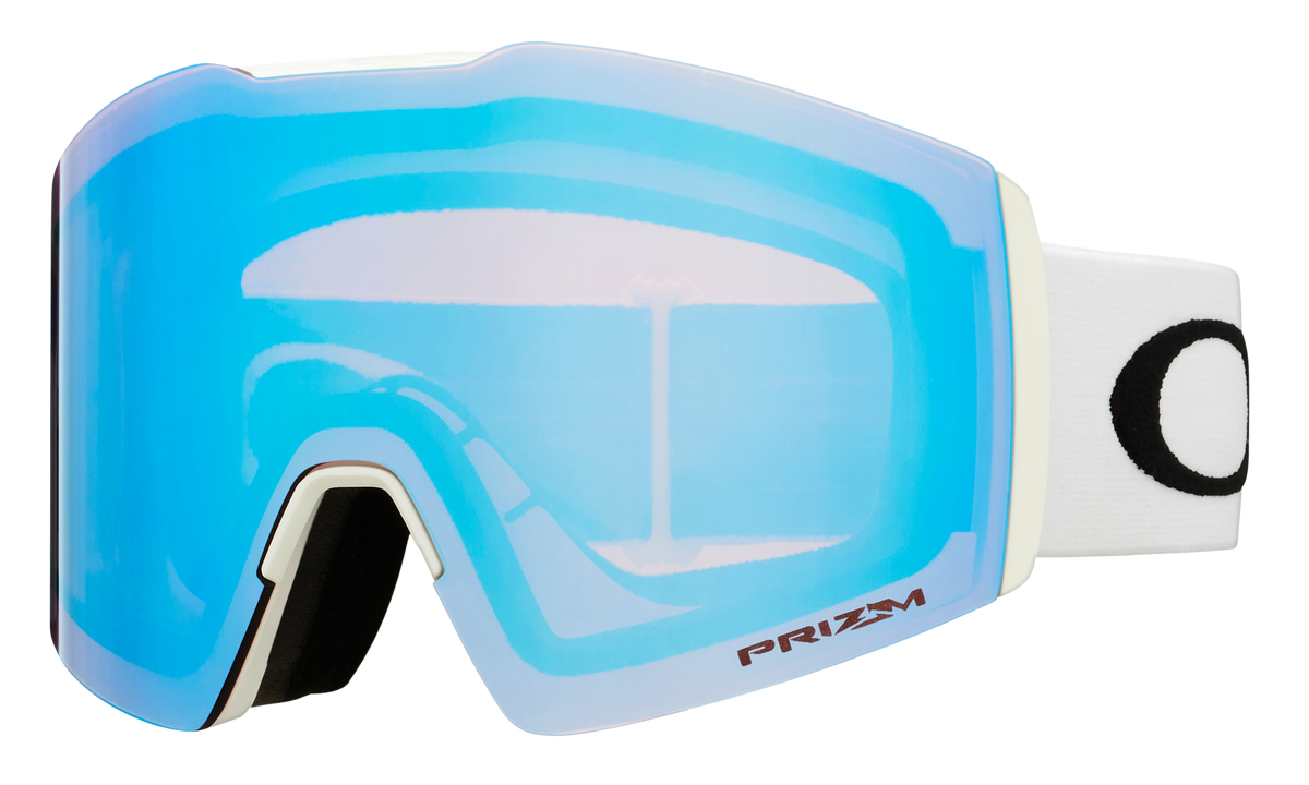 Fall Line L Snow Goggle