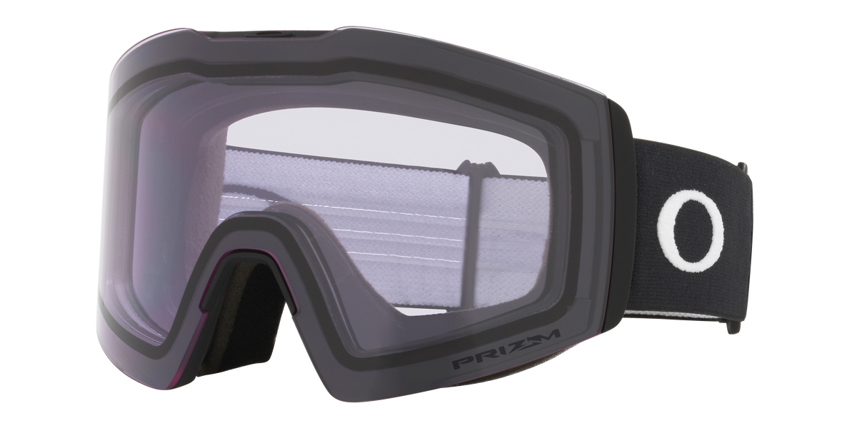 Fall Line L Snow Goggle