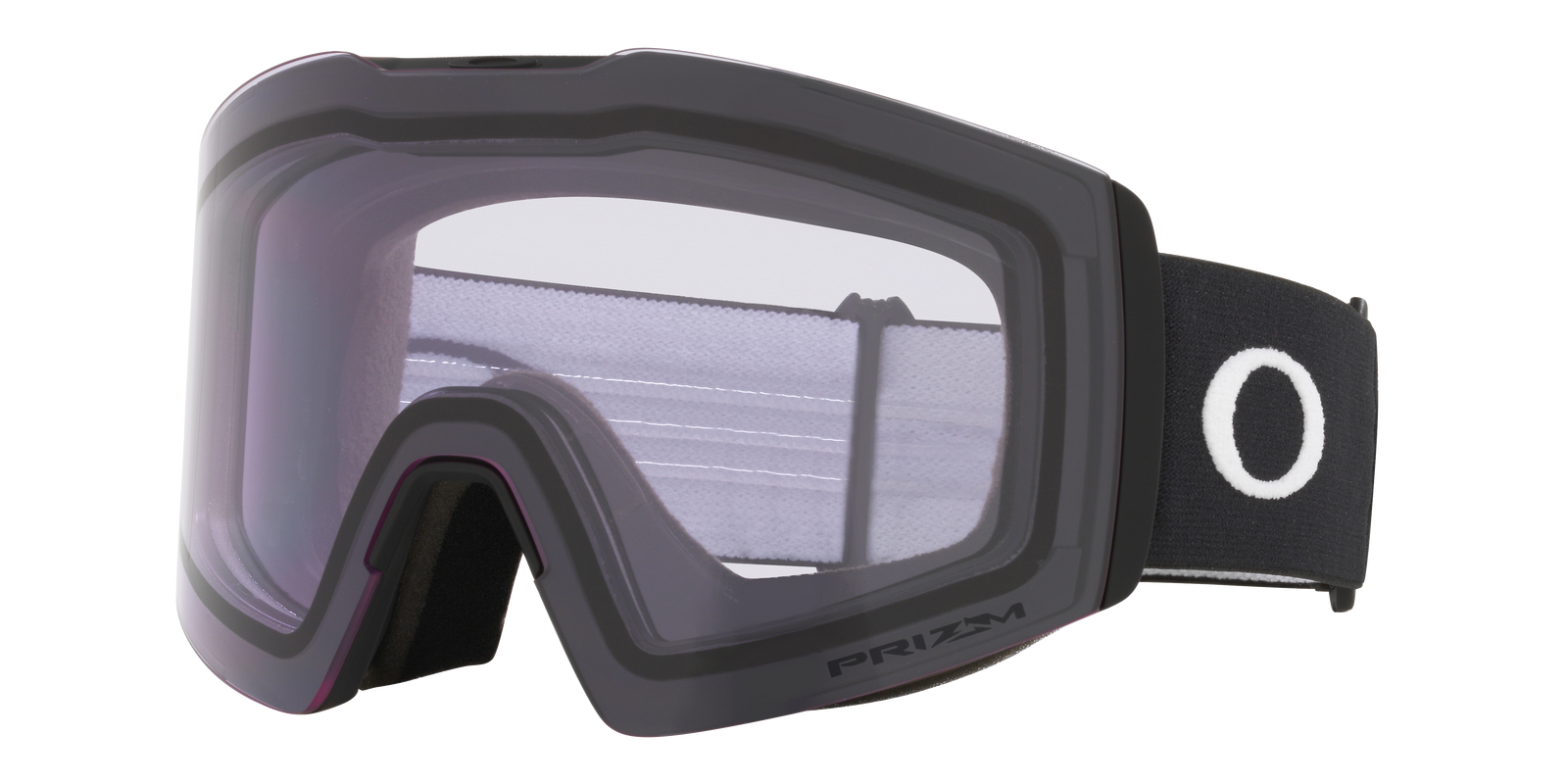 Fall Line L Snow Goggle