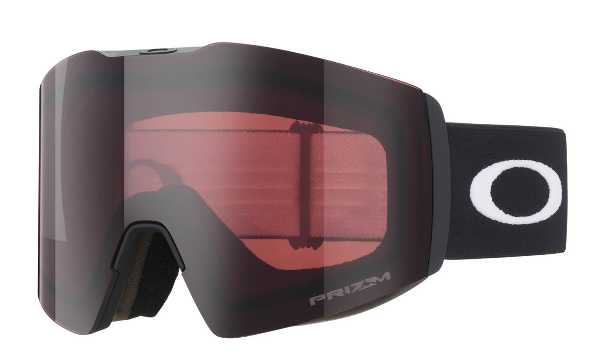 Fall Line L Snow Goggle