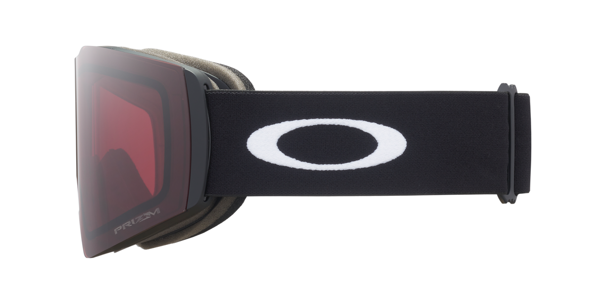 Fall Line L Snow Goggle