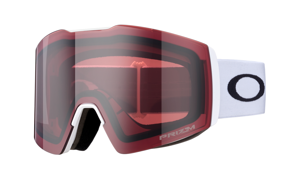 Fall Line L Snow Goggle