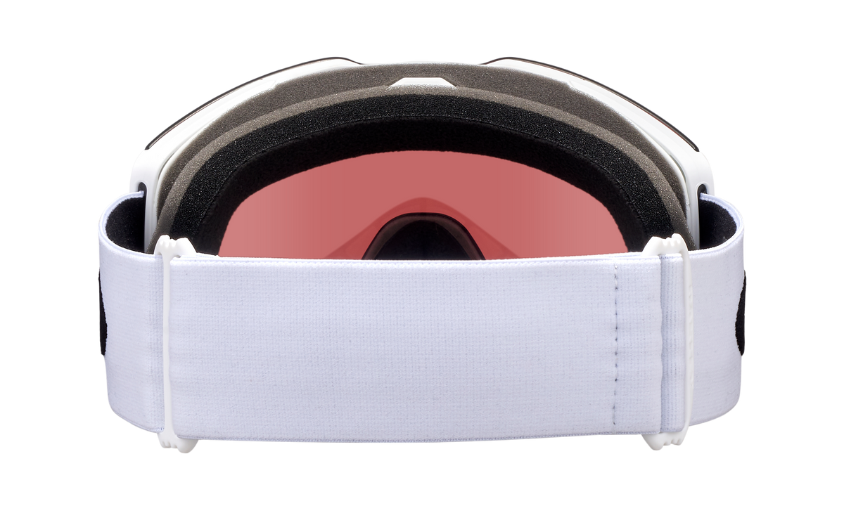 Fall Line L Snow Goggle