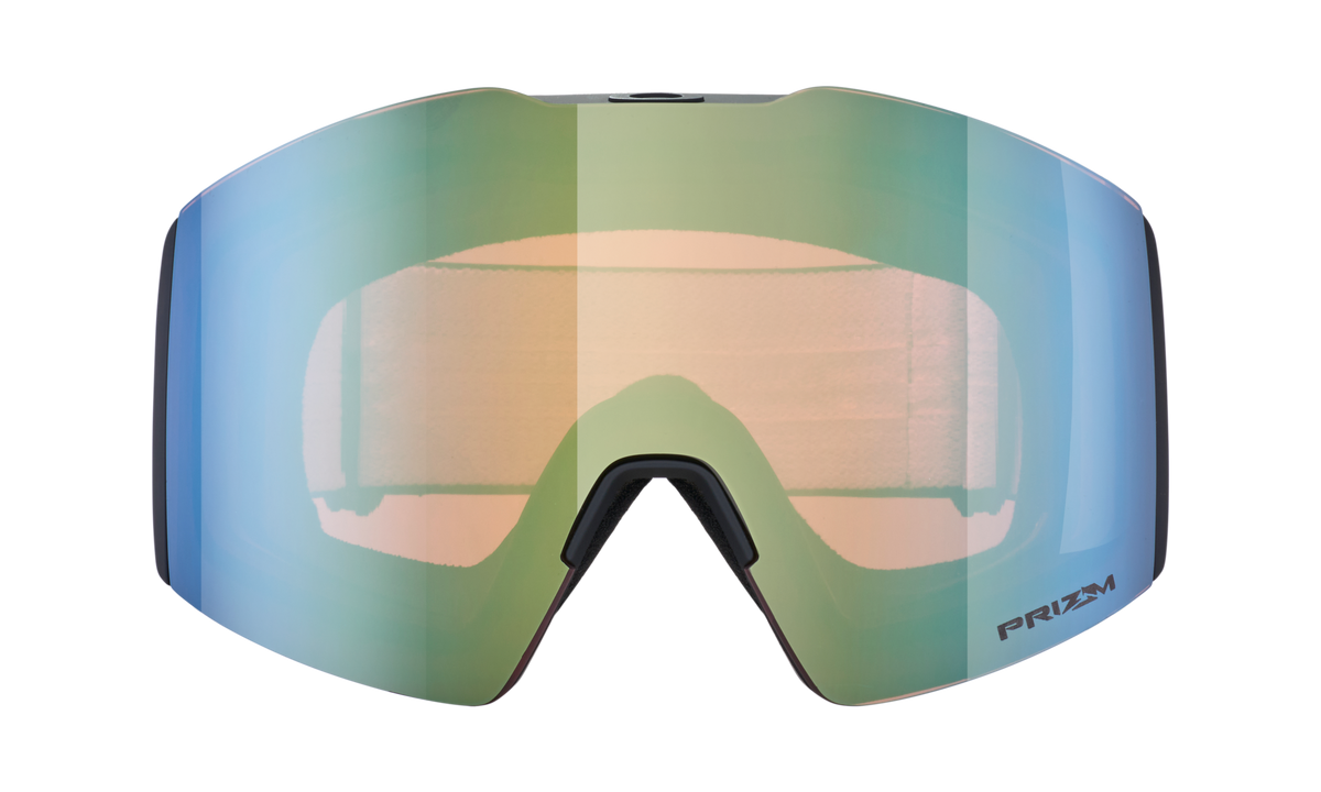 Fall Line L Snow Goggle