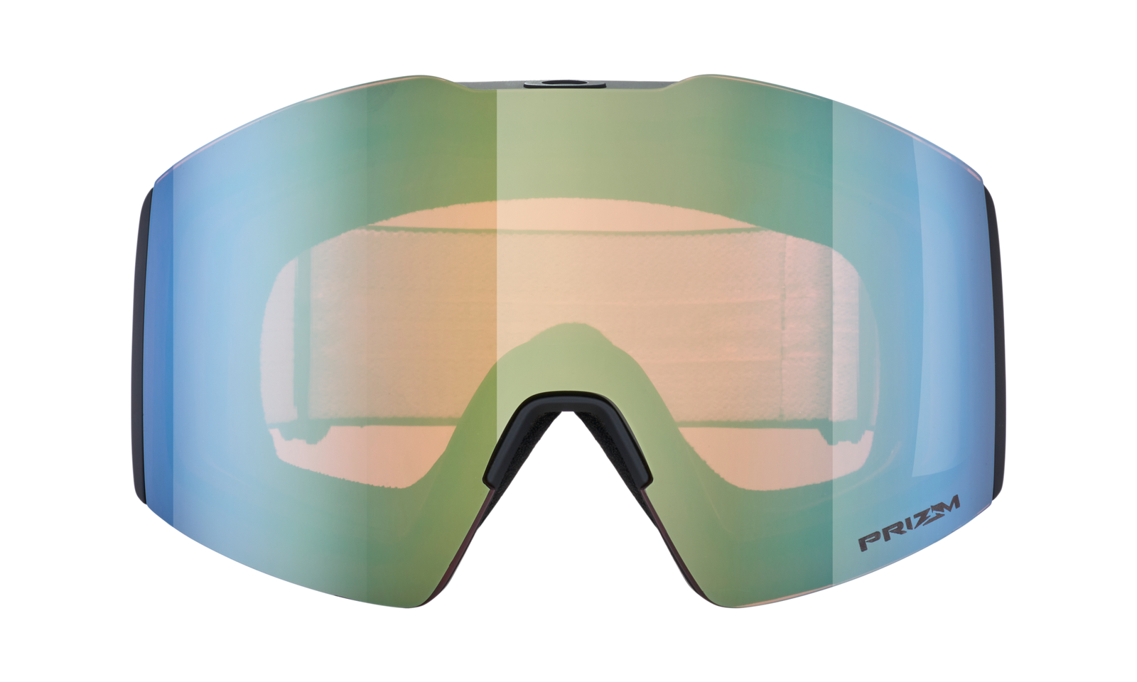 Fall Line L Snow Goggle