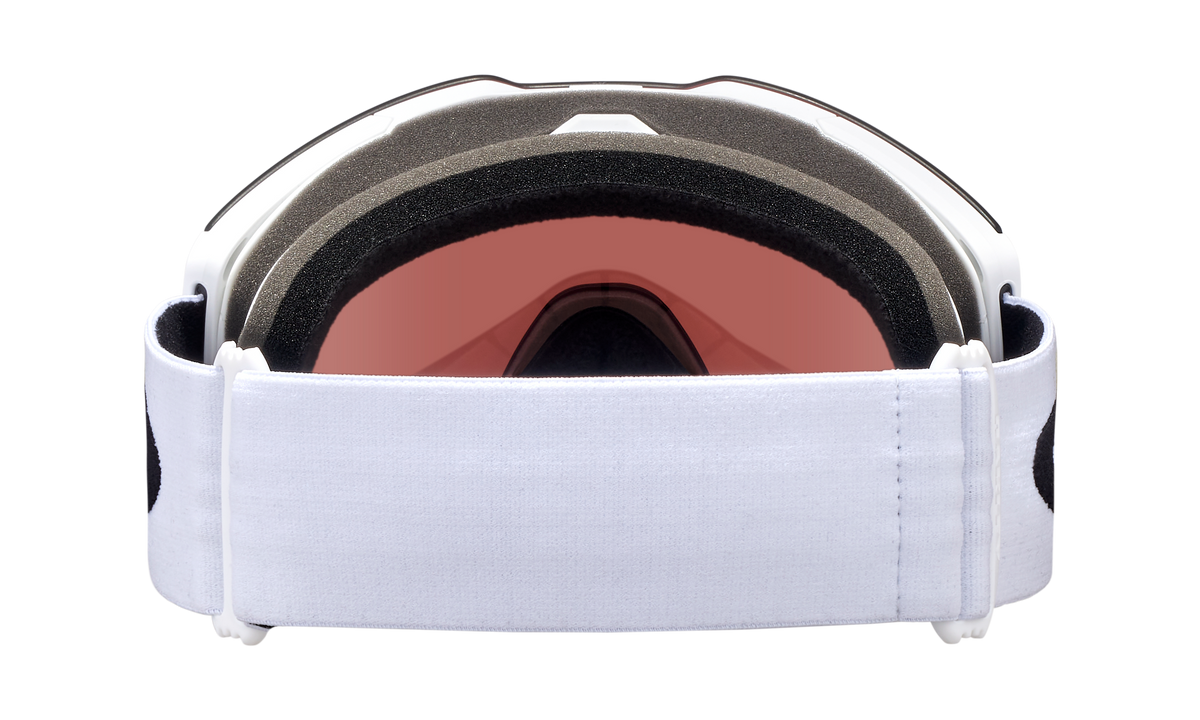 Fall Line L Snow Goggle