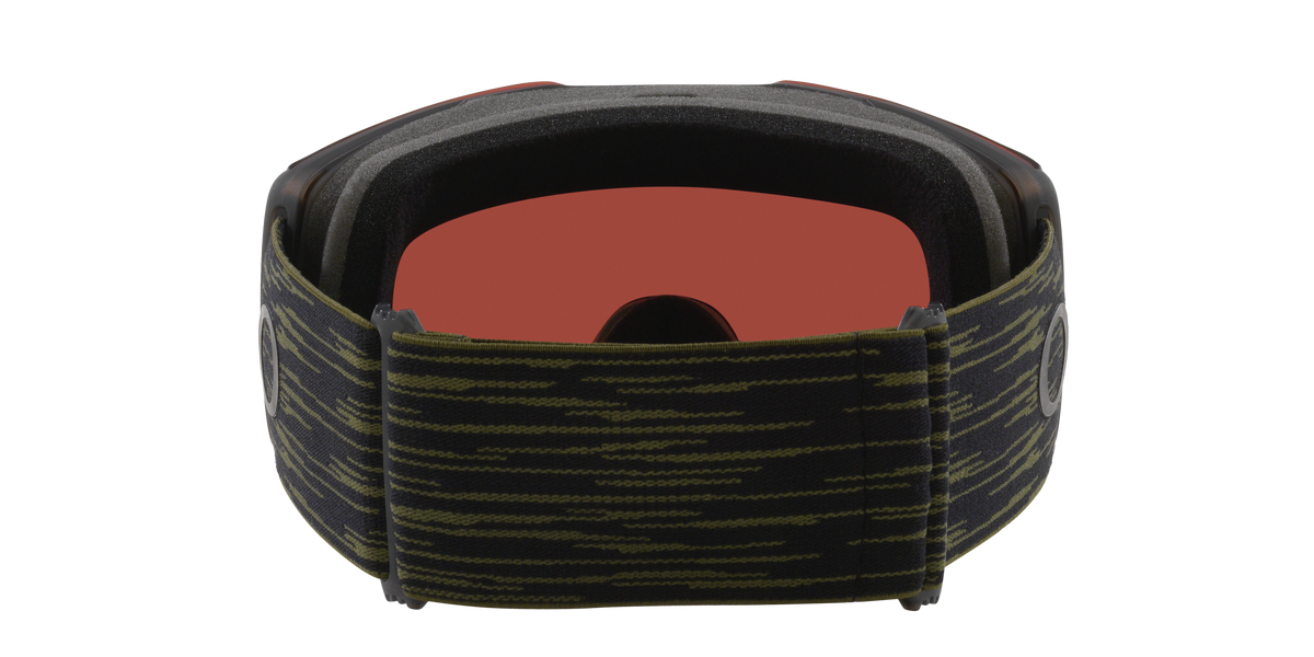 Fall Line L Snow Goggle