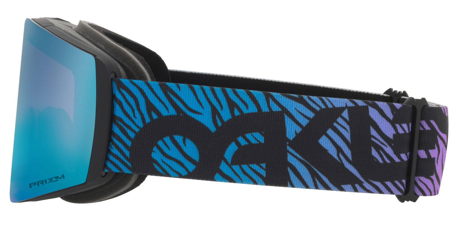 Fall Line L Snow Goggle