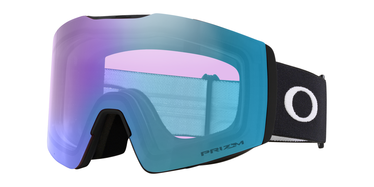 Fall Line L Snow Goggle