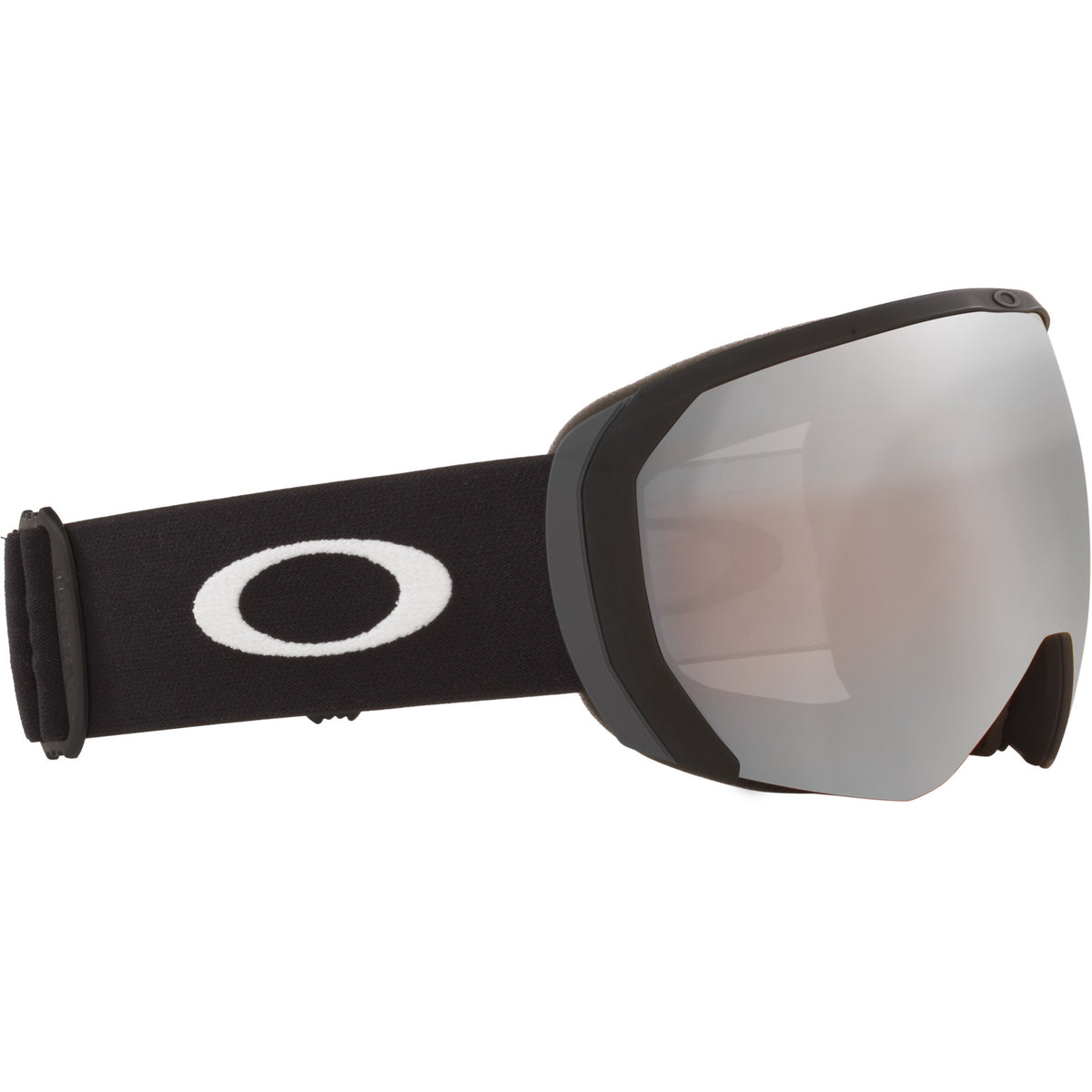 Flight Path L Snow Goggle