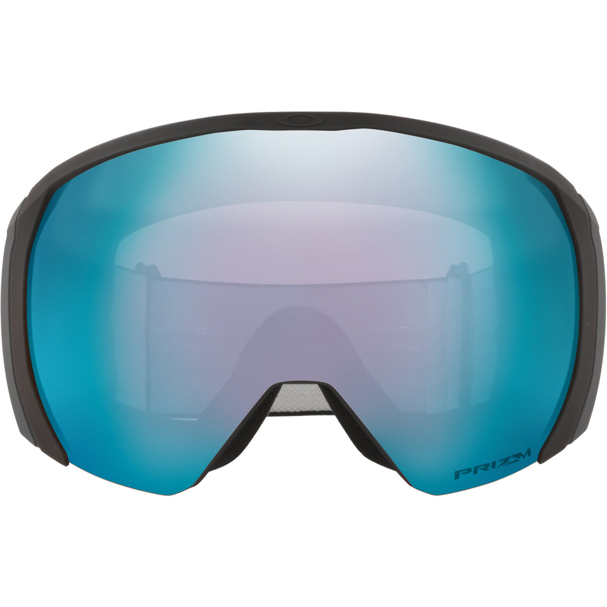 Flight Path L Snow Goggle