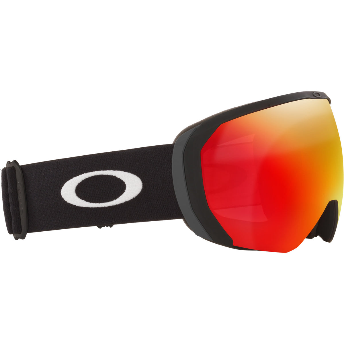 Flight Path L Snow Goggle