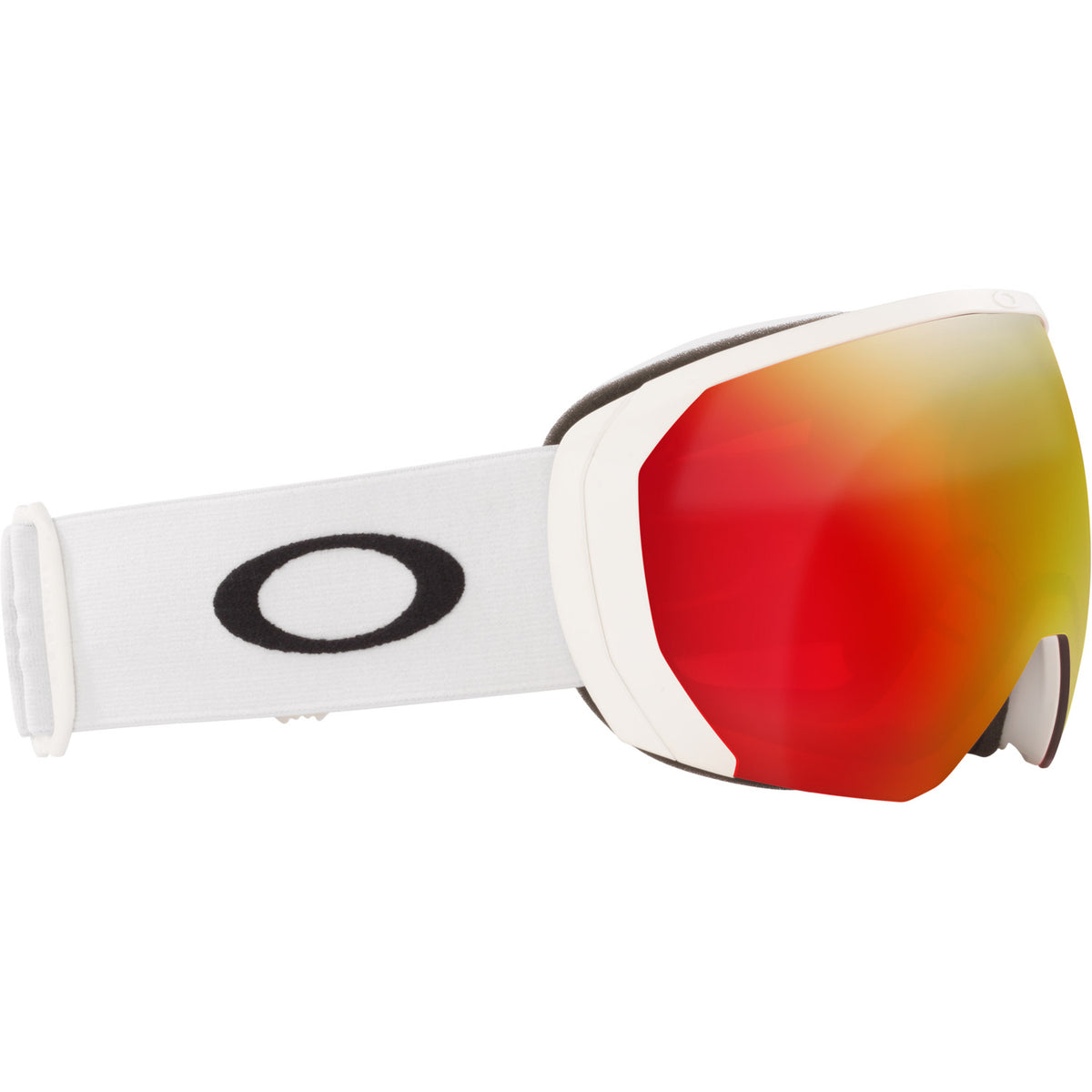 Flight Path L Snow Goggle