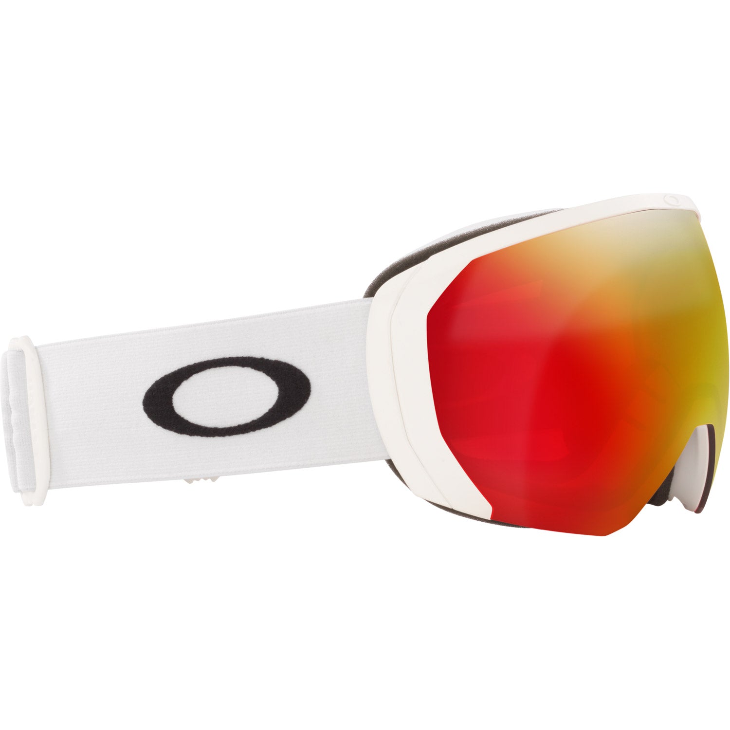 Flight Path L Snow Goggle