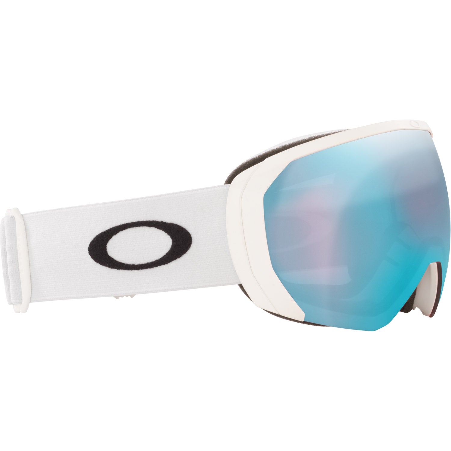 Flight Path L Snow Goggle