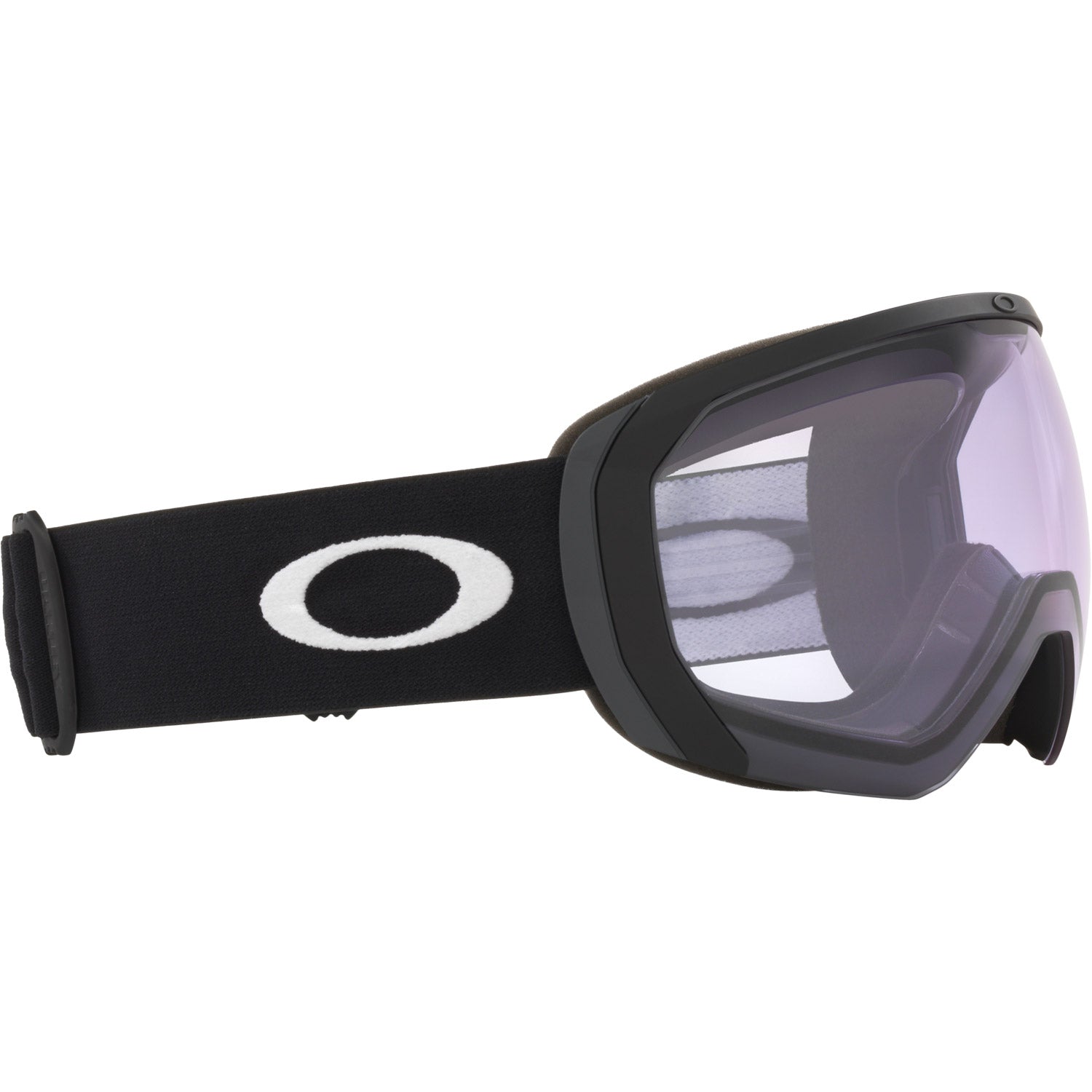 Flight Path L Snow Goggle