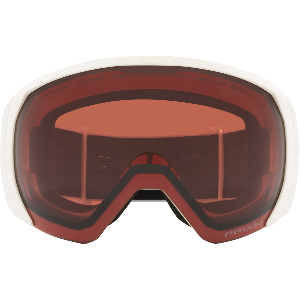 Flight Path L Snow Goggle