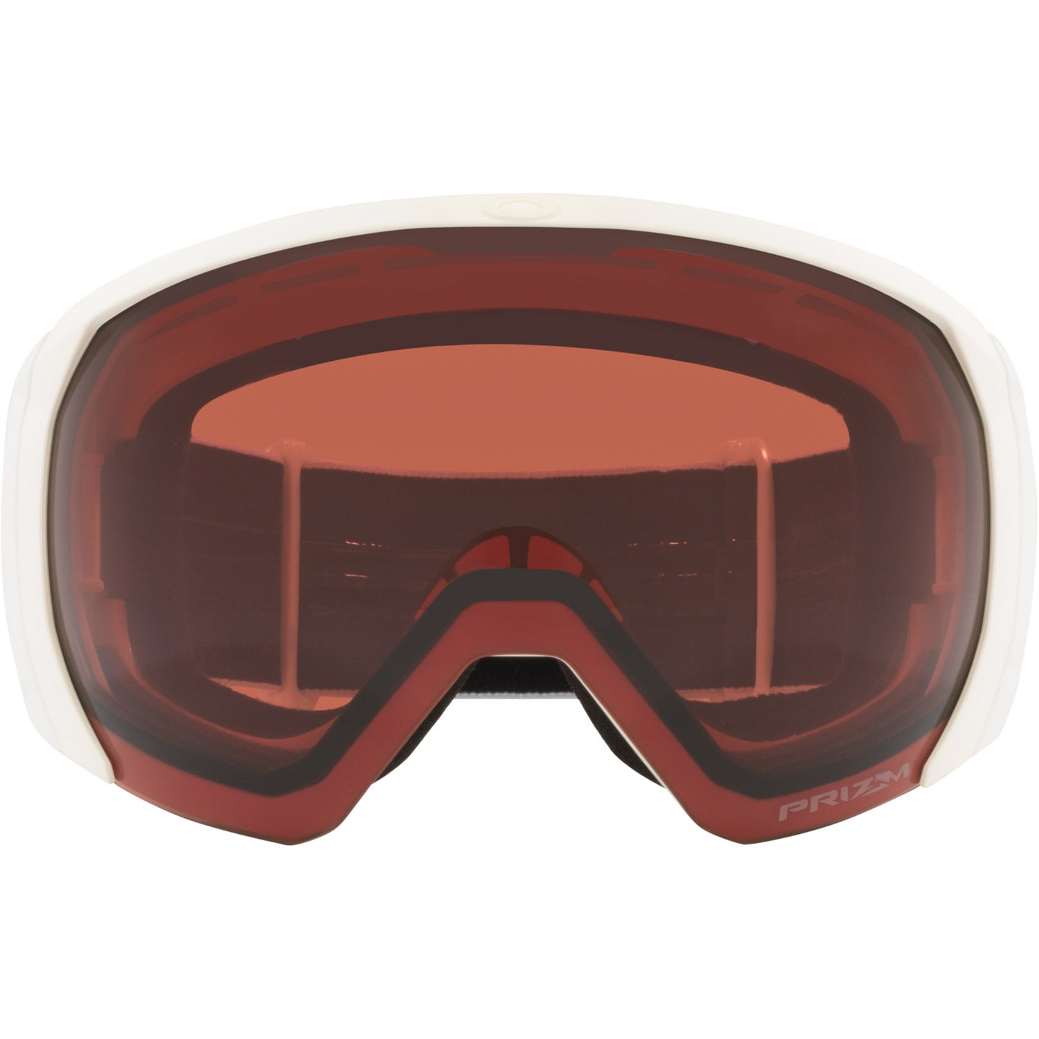 Flight Path L Snow Goggle