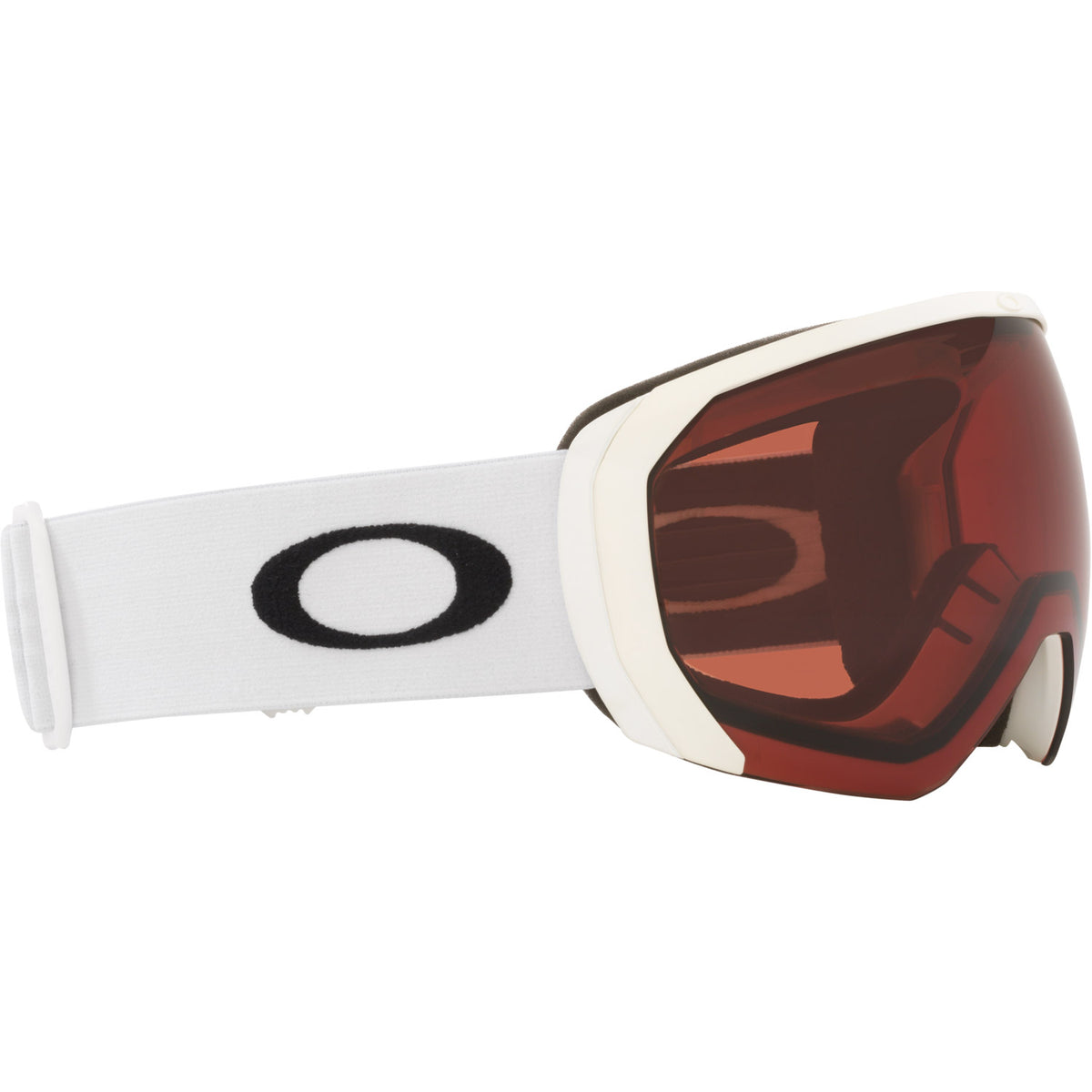 Flight Path L Snow Goggle