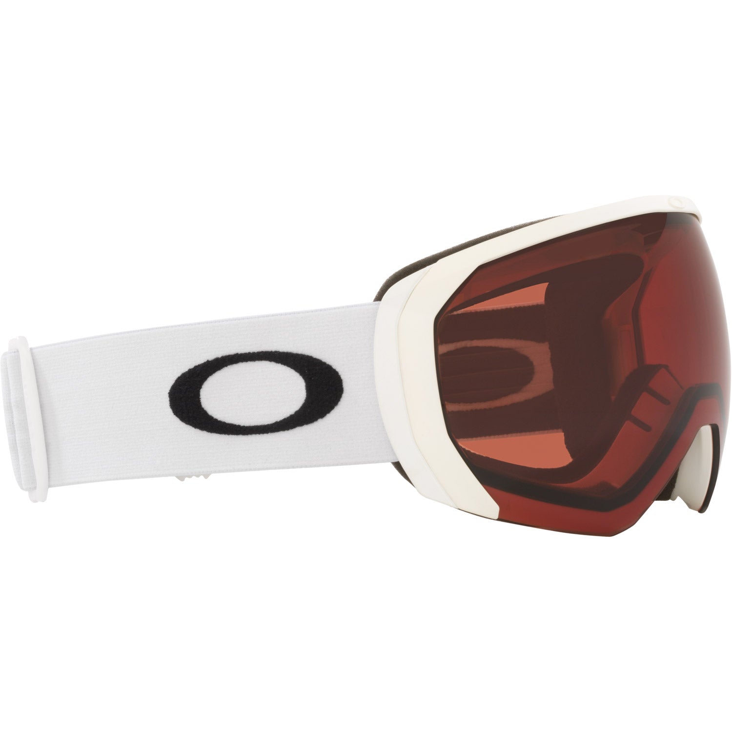 Flight Path L Snow Goggle