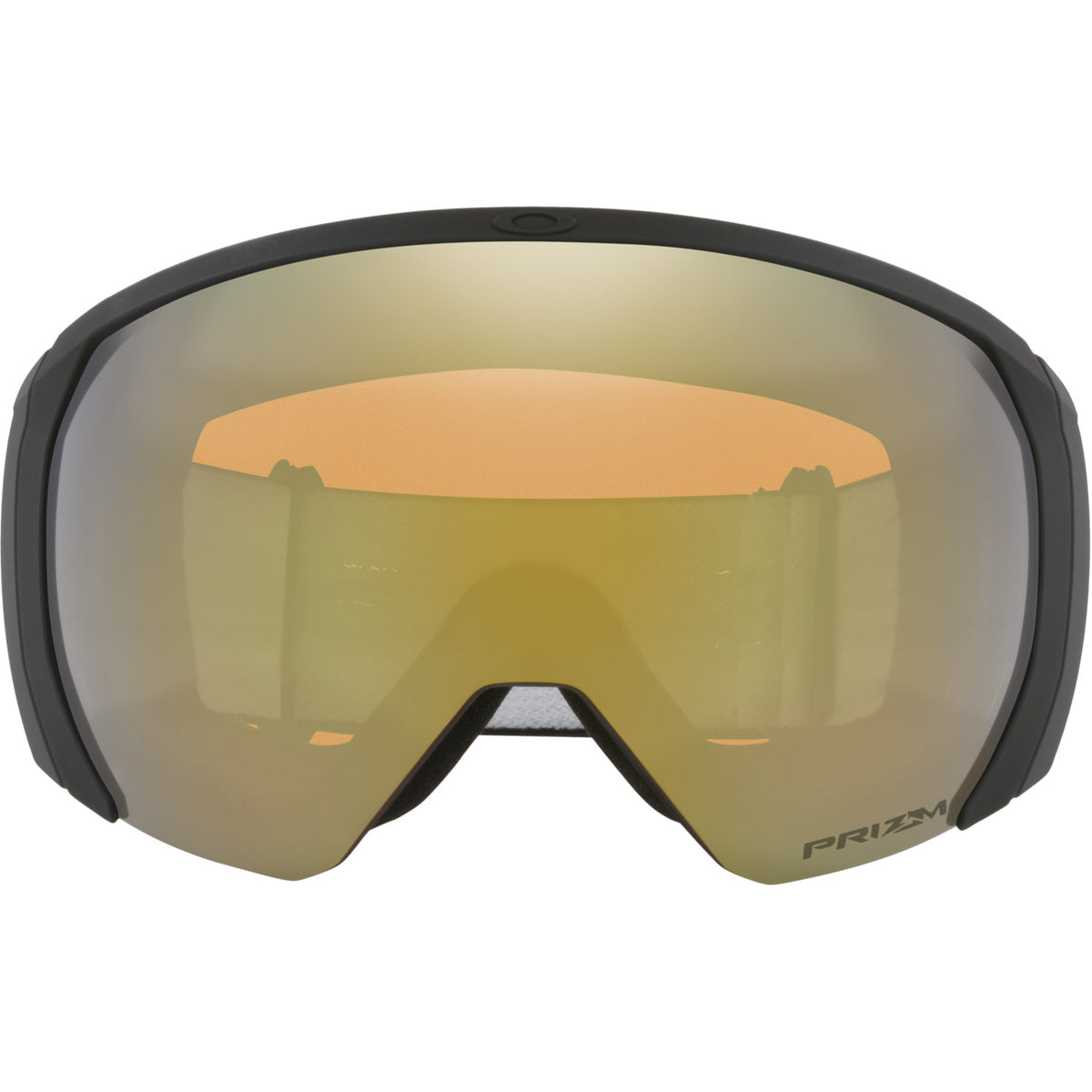 Flight Path L Snow Goggle