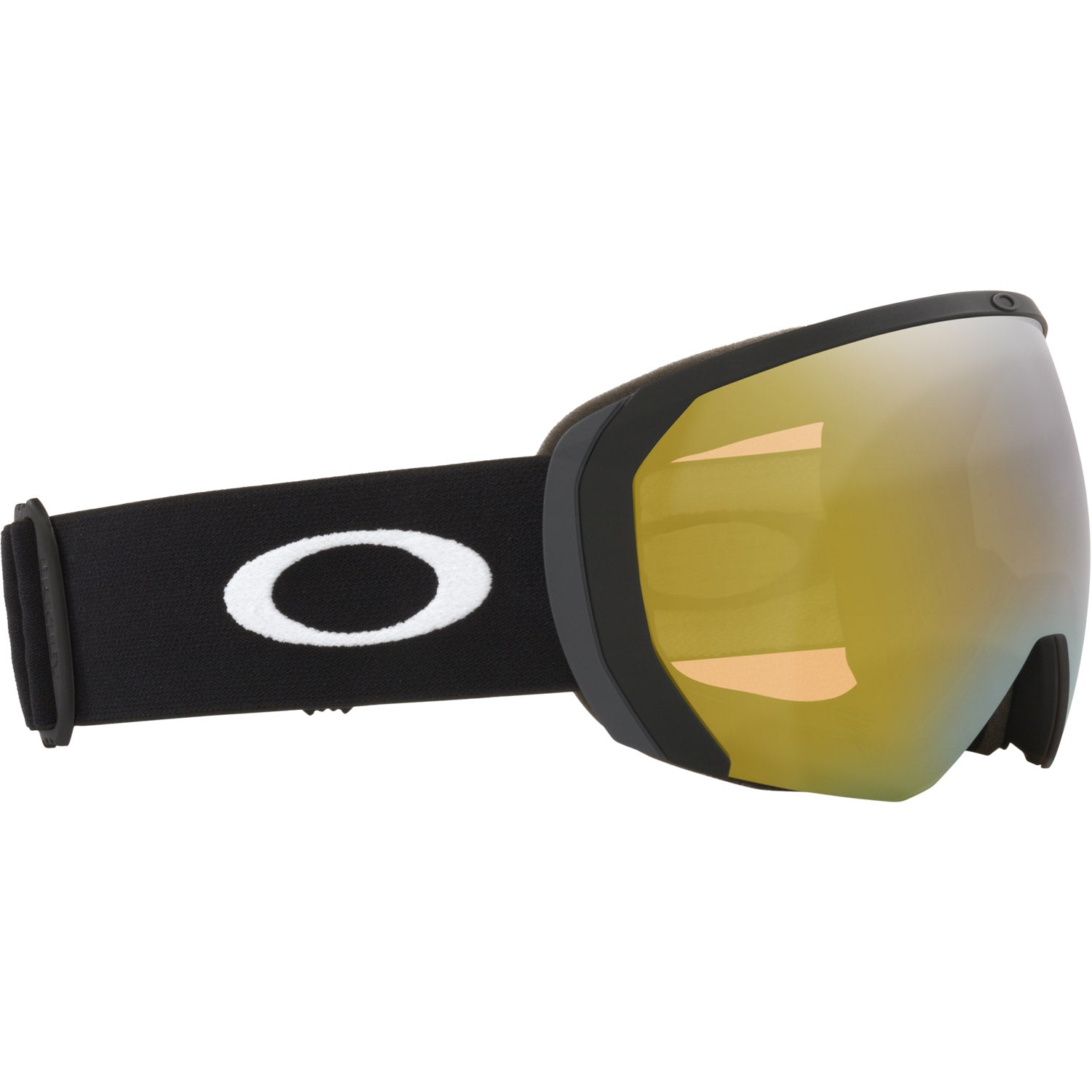 Flight Path L Snow Goggle