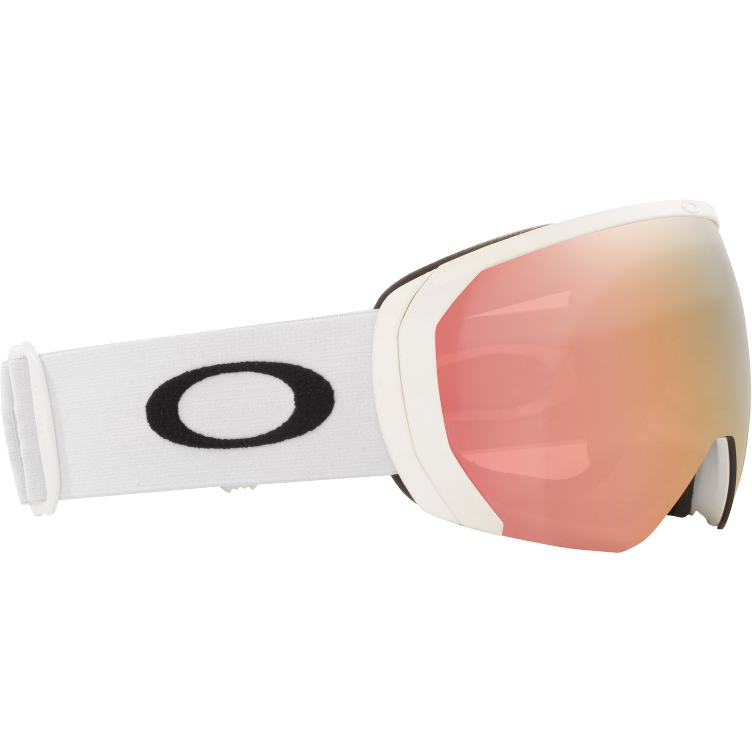 Flight Path L Snow Goggle