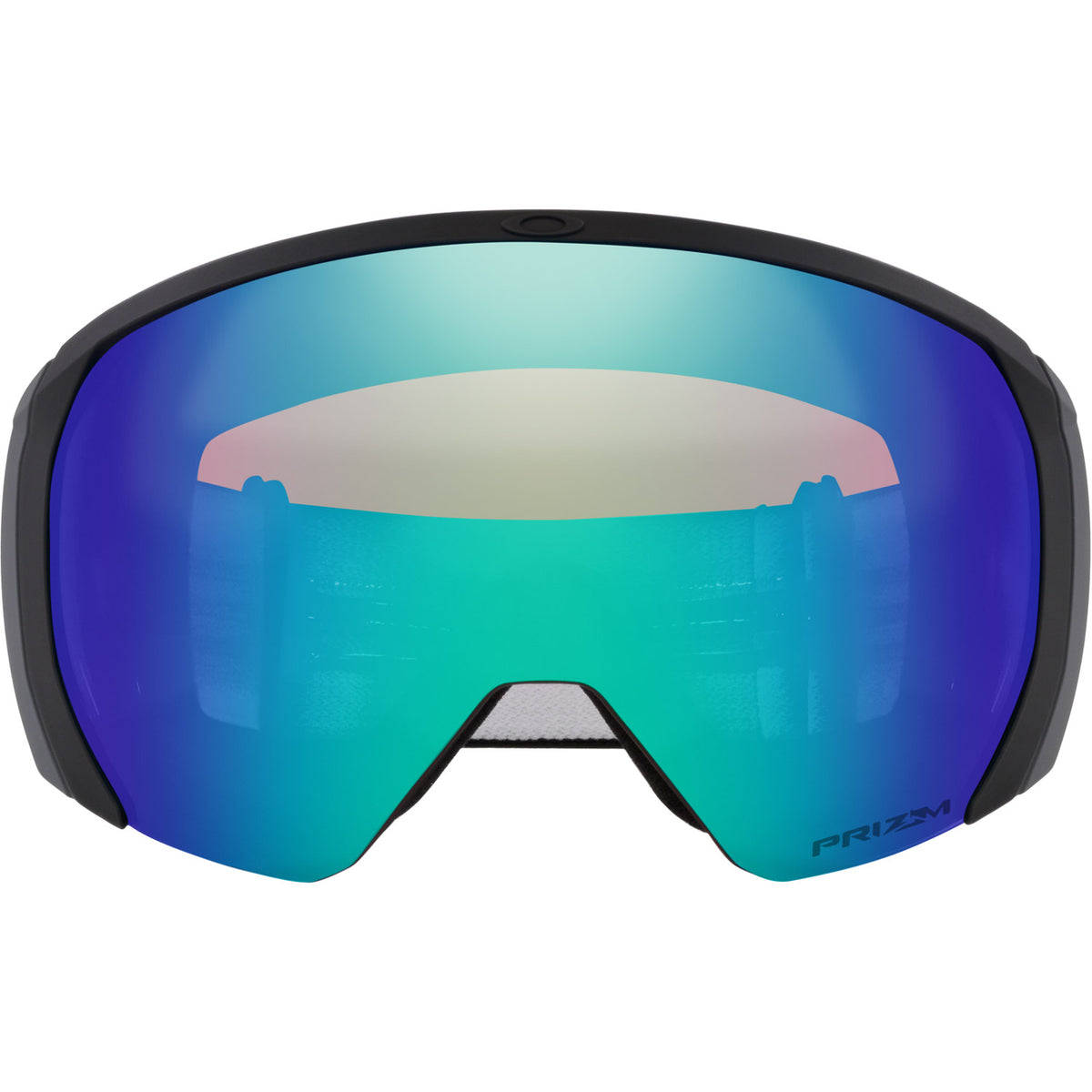 Flight Path L Snow Goggle