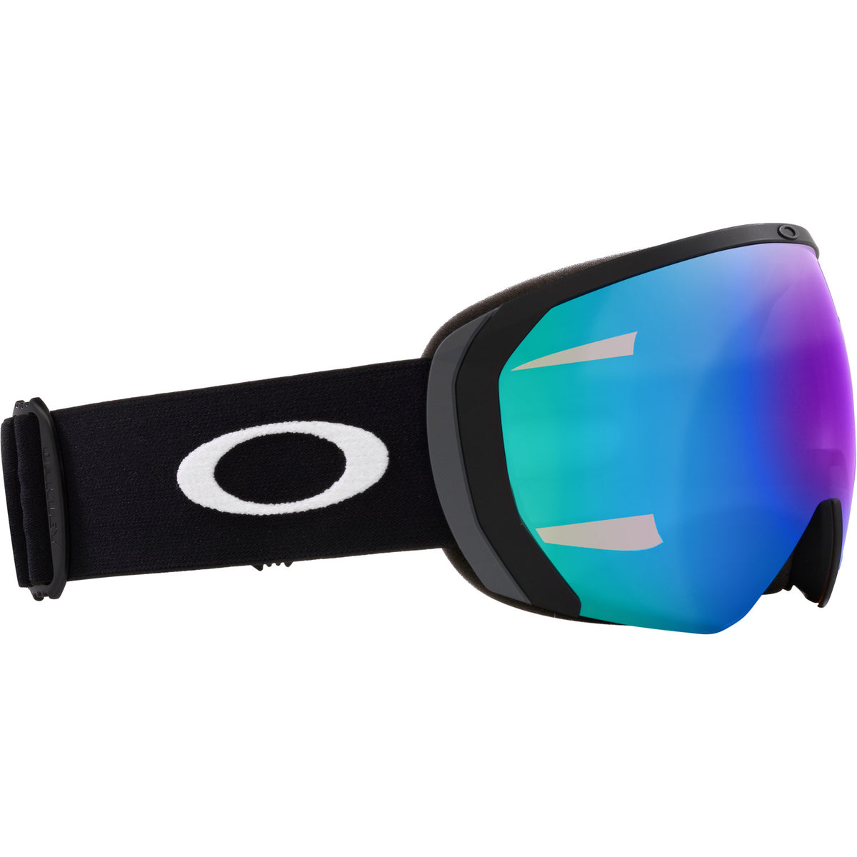 Flight Path L Snow Goggle