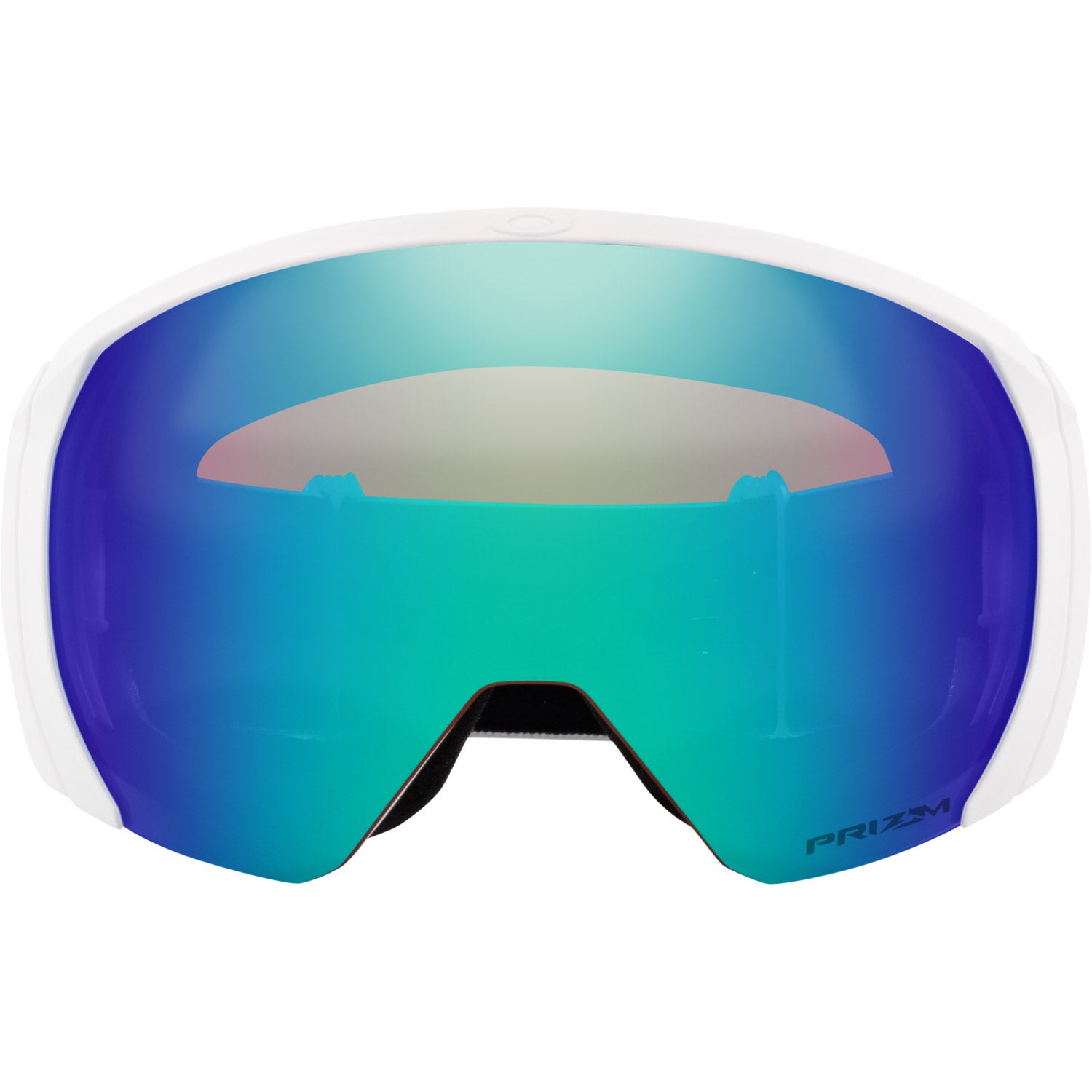 Flight Path L Snow Goggle