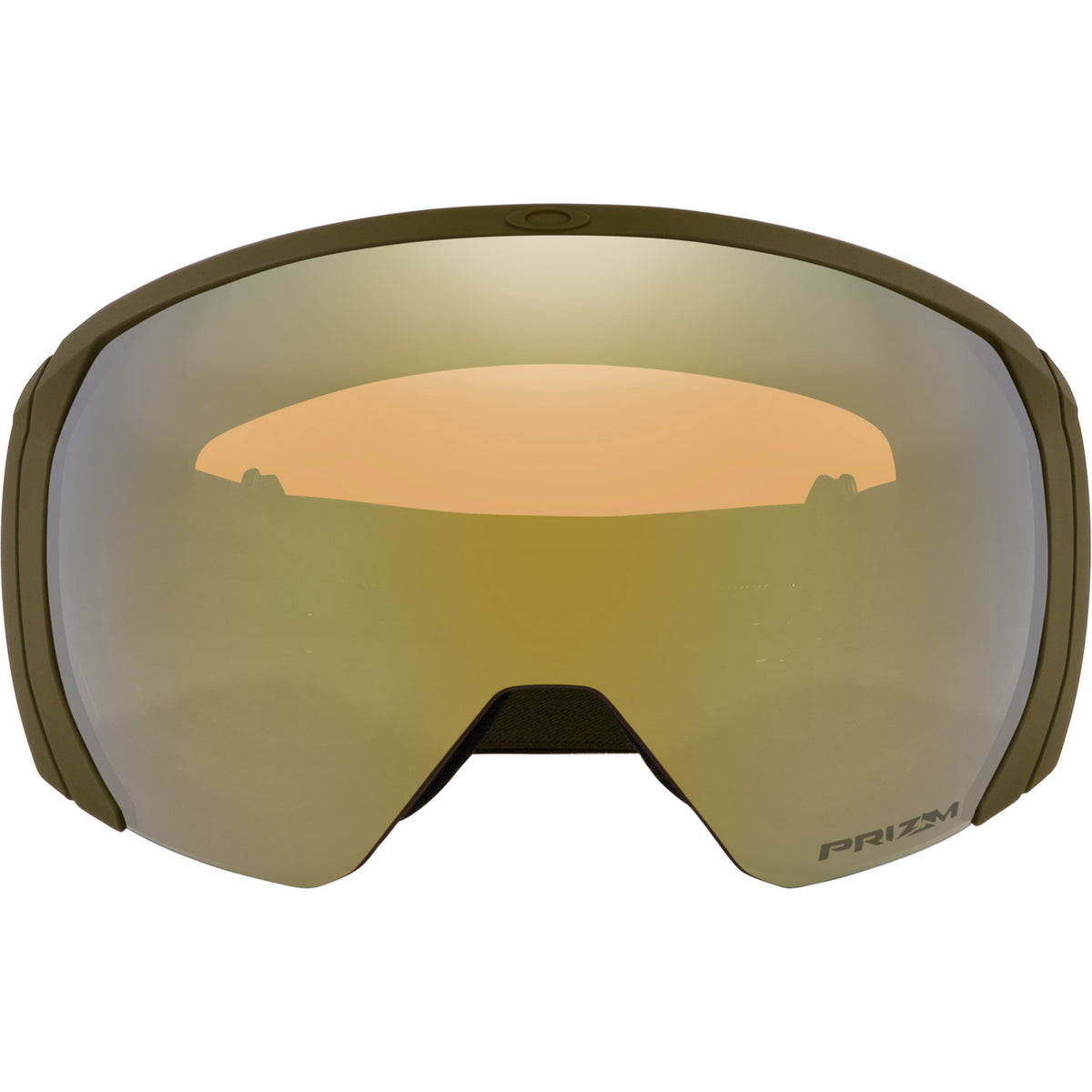 Flight Path L Snow Goggle