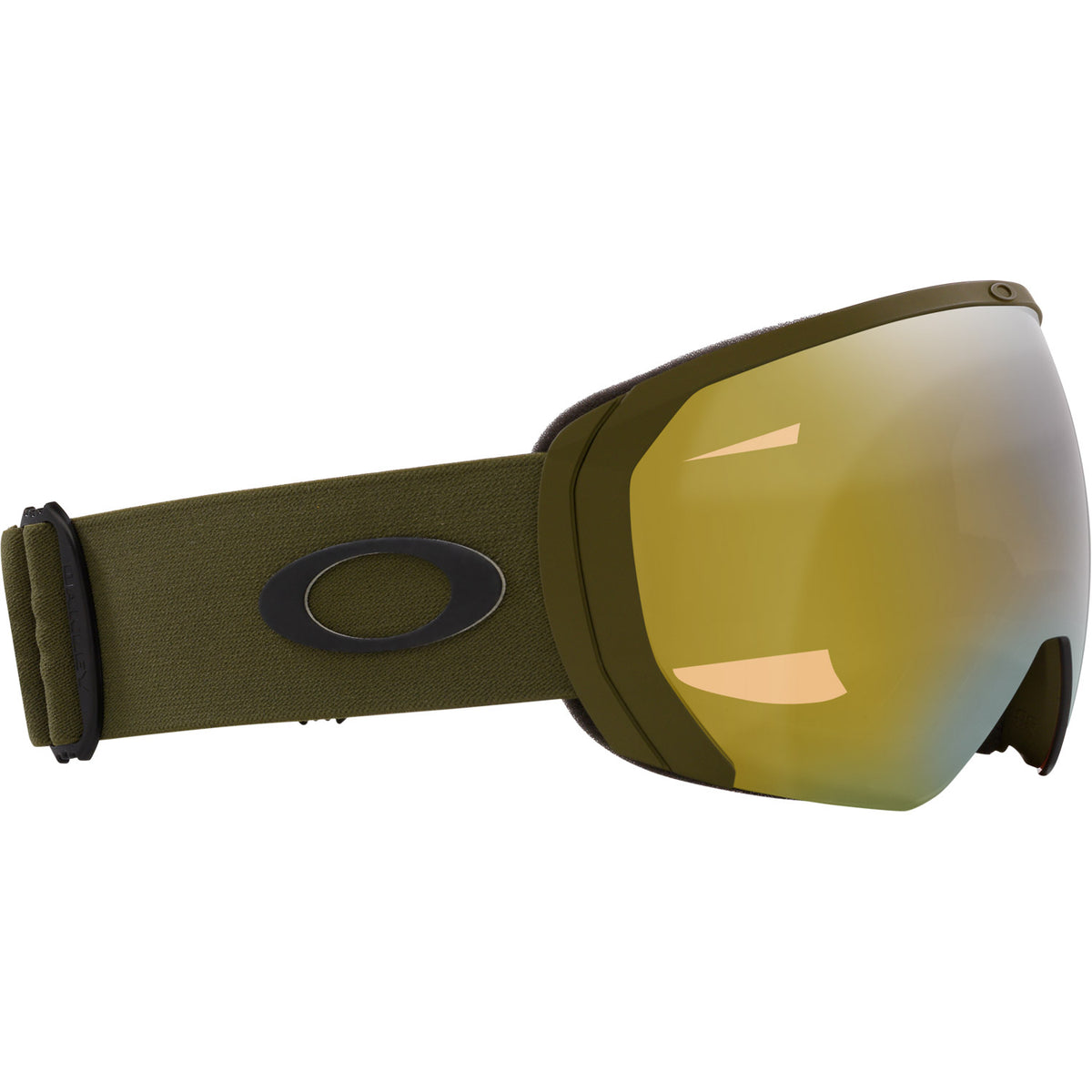 Flight Path L Snow Goggle