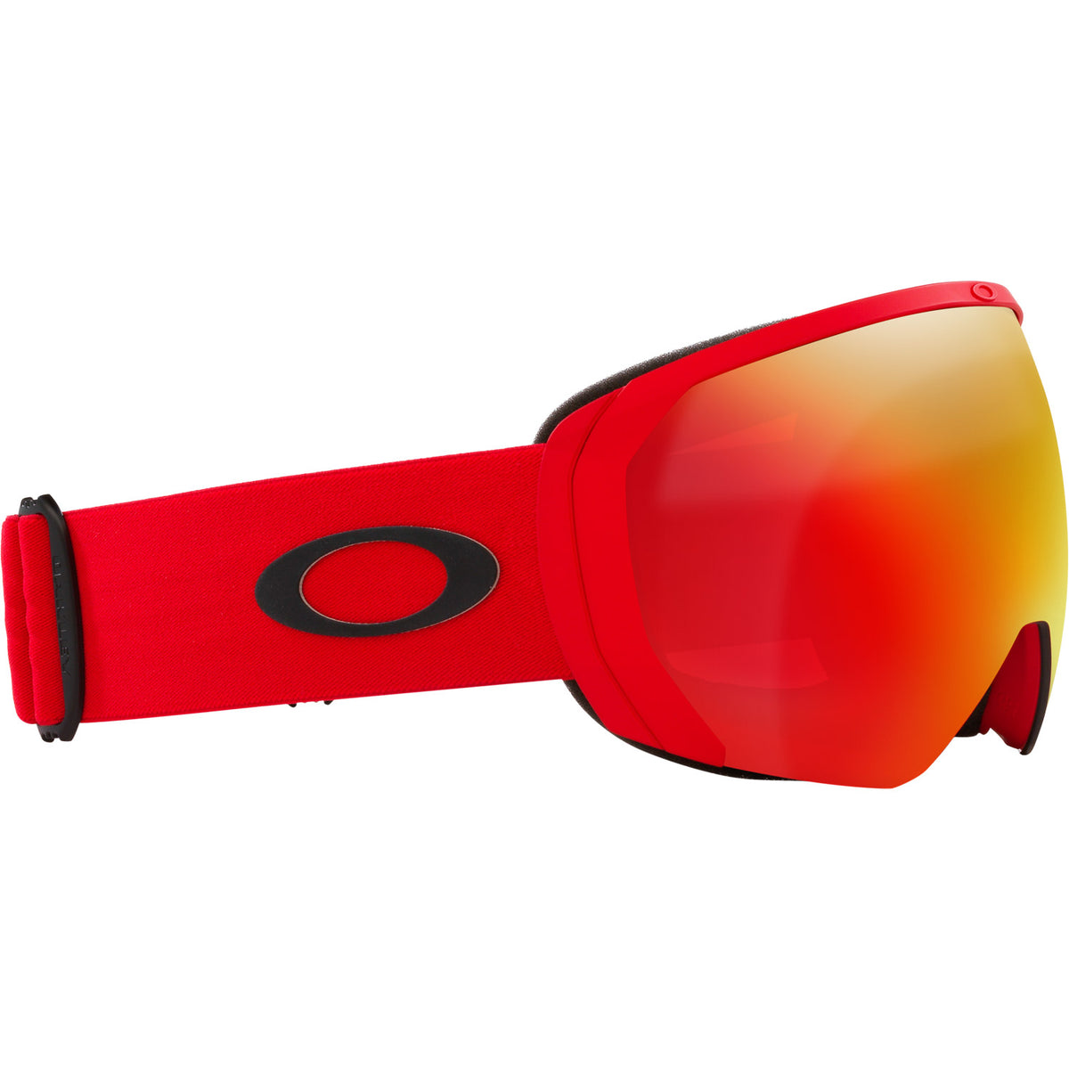 Flight Path L Snow Goggle