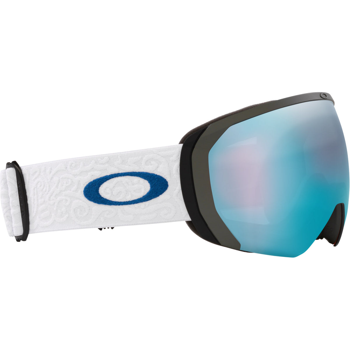 Flight Path L Snow Goggle