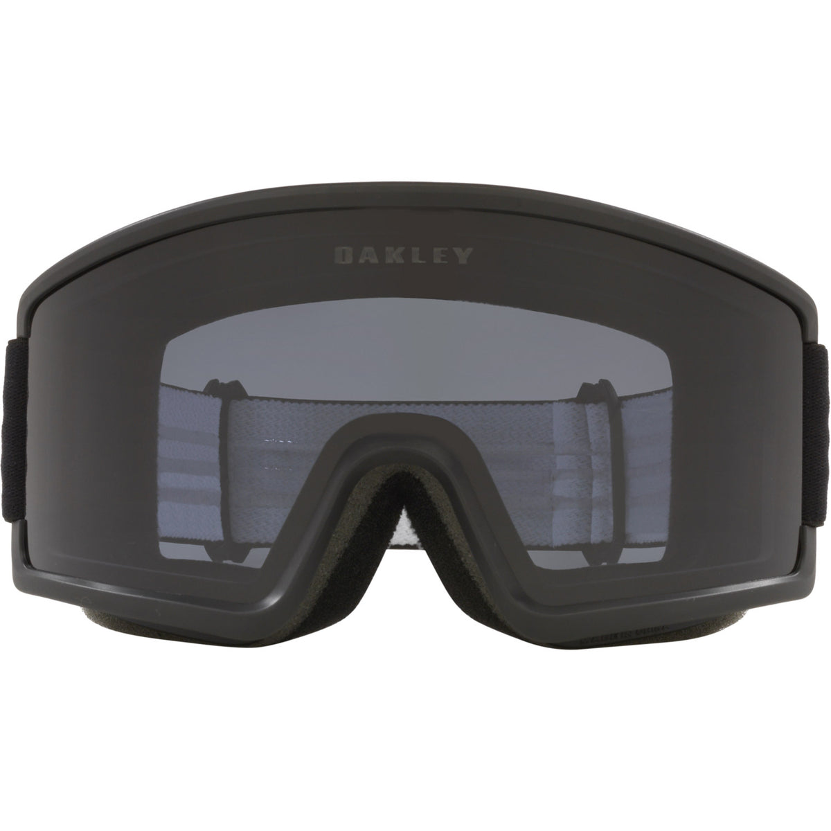 Target Line L Snow Goggle