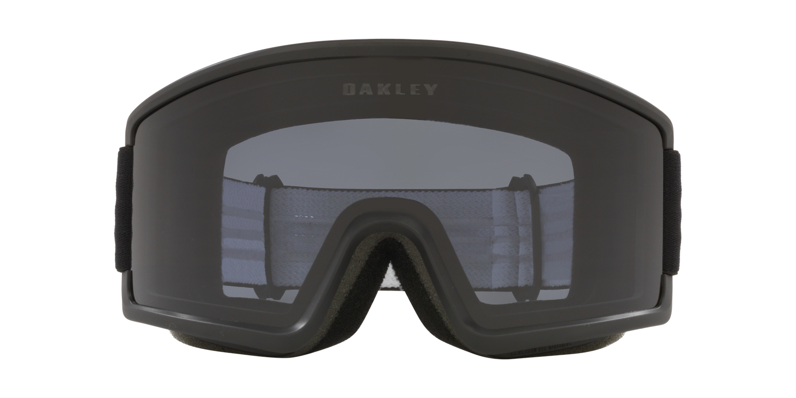 Target Line L Snow Goggle