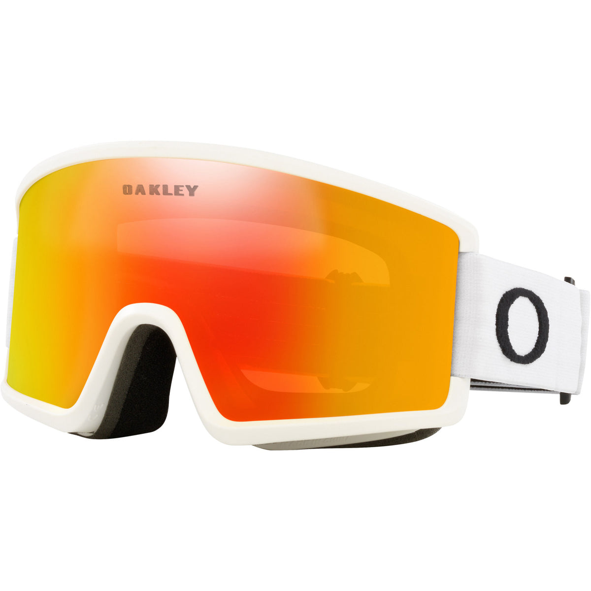 Target Line L Snow Goggle