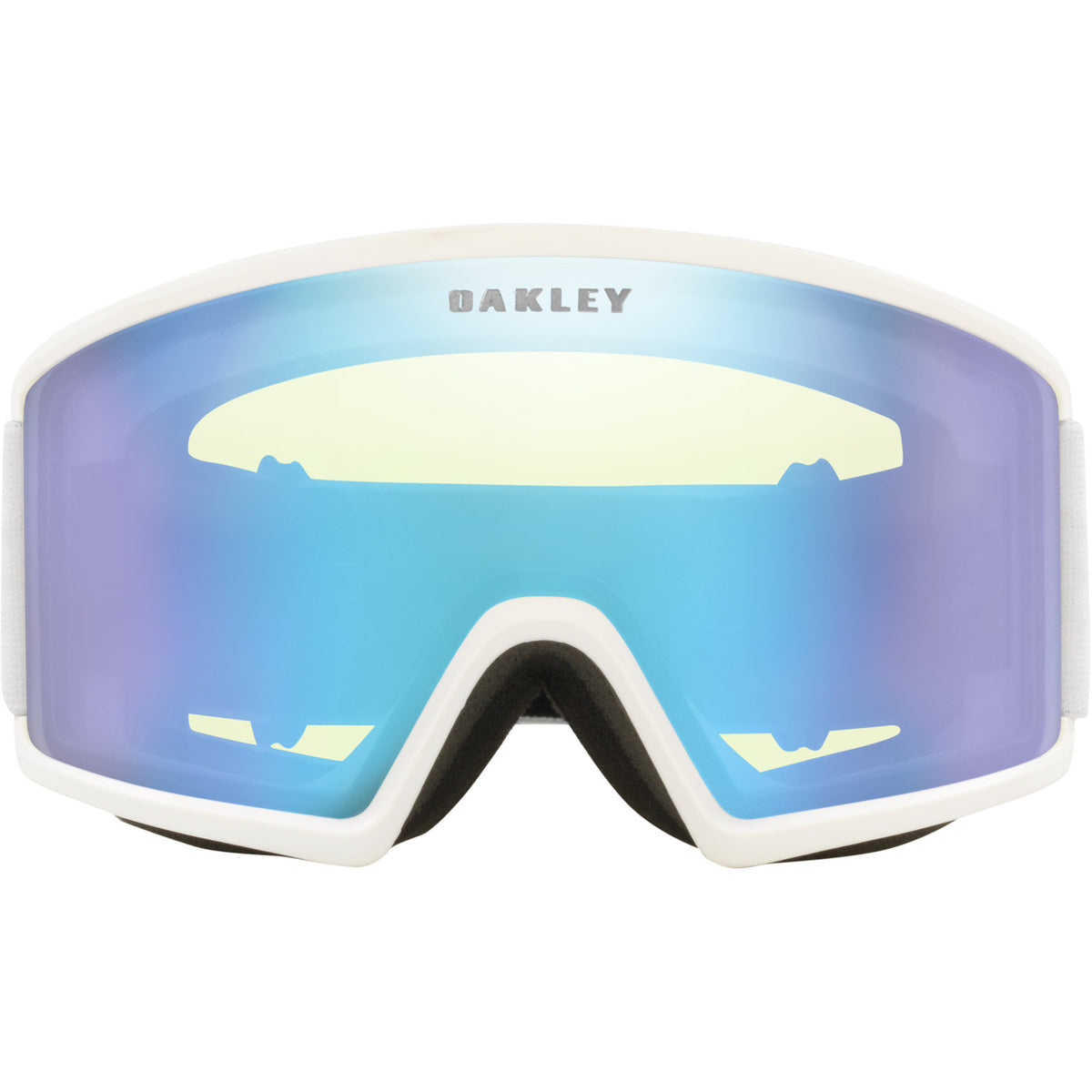 Target Line L Snow Goggle
