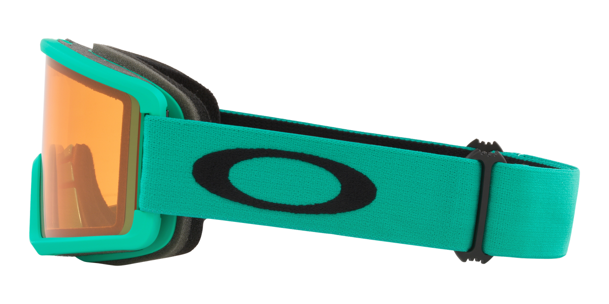 Target Line L Snow Goggle