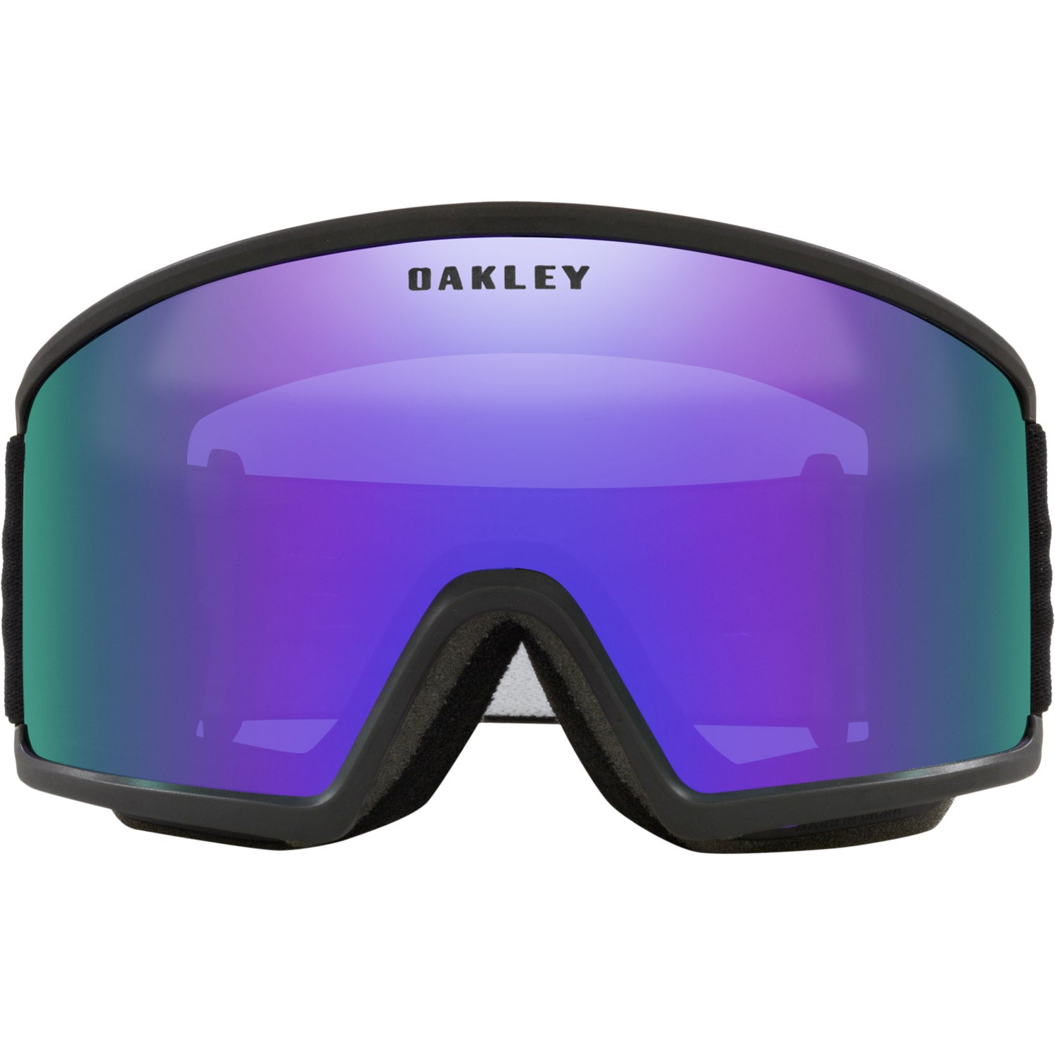 Target Line L Snow Goggle