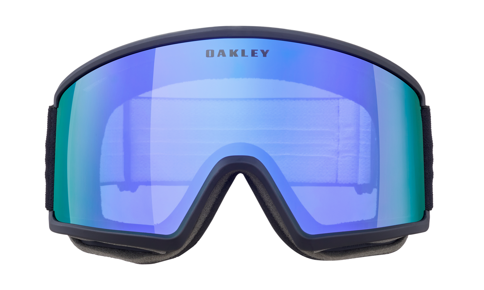 Target Line L Snow Goggle