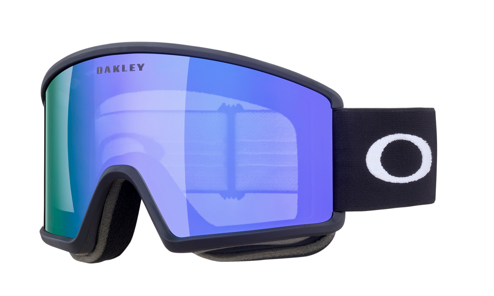 Target Line L Snow Goggle