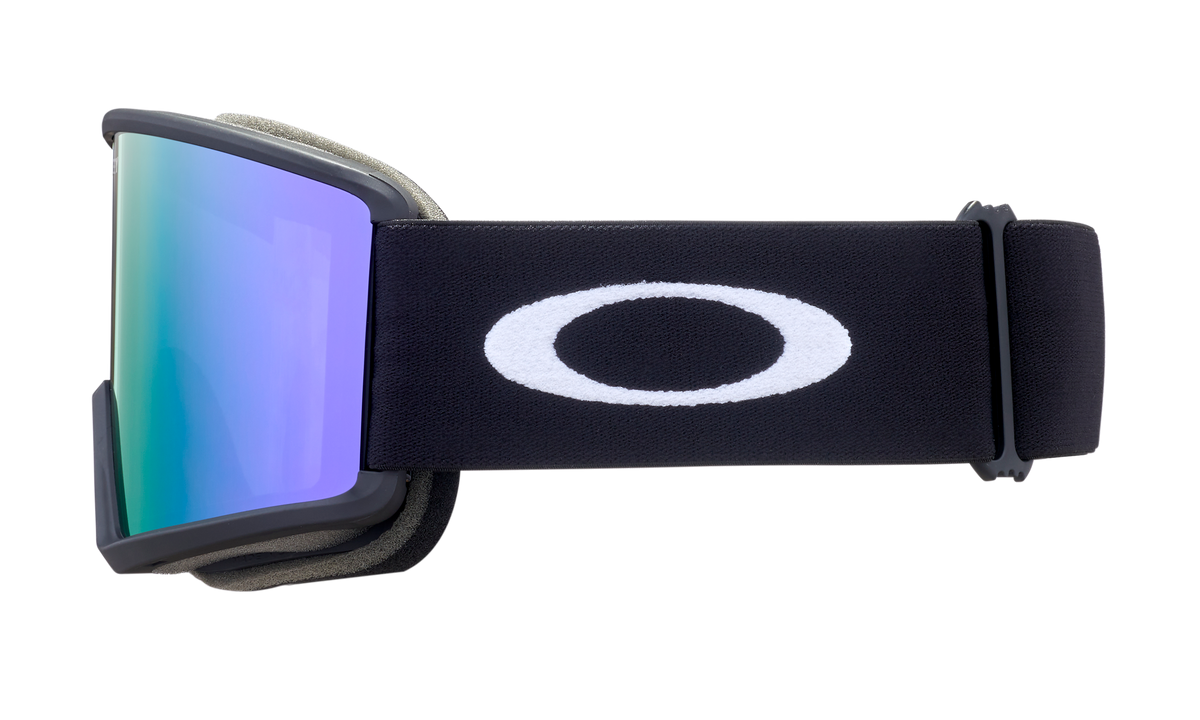 Target Line L Snow Goggle