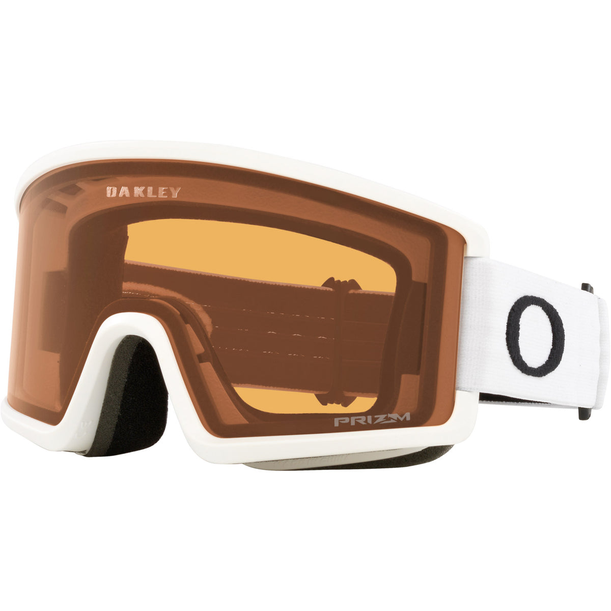 Target Line L Snow Goggle