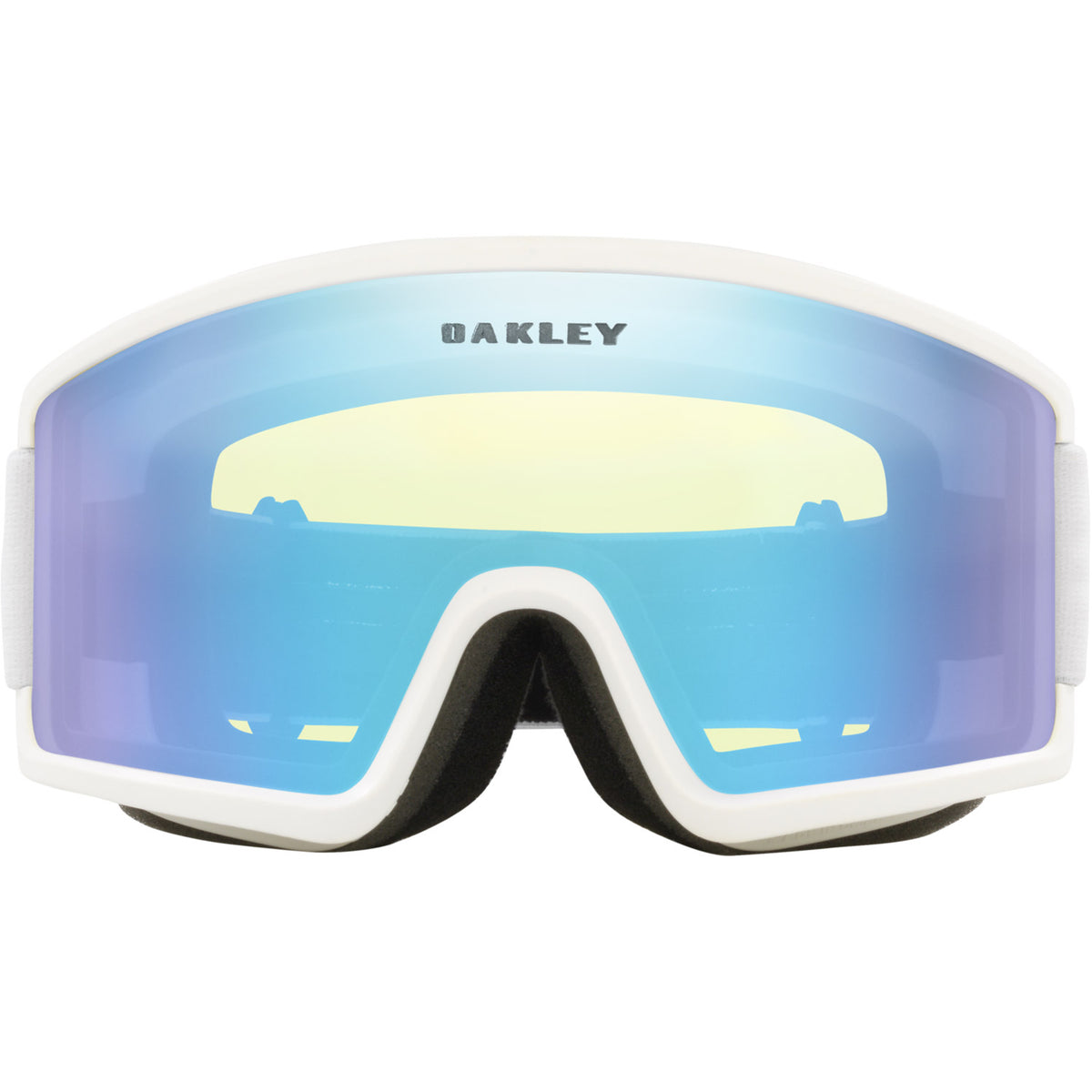 Target Line M Snow Goggle
