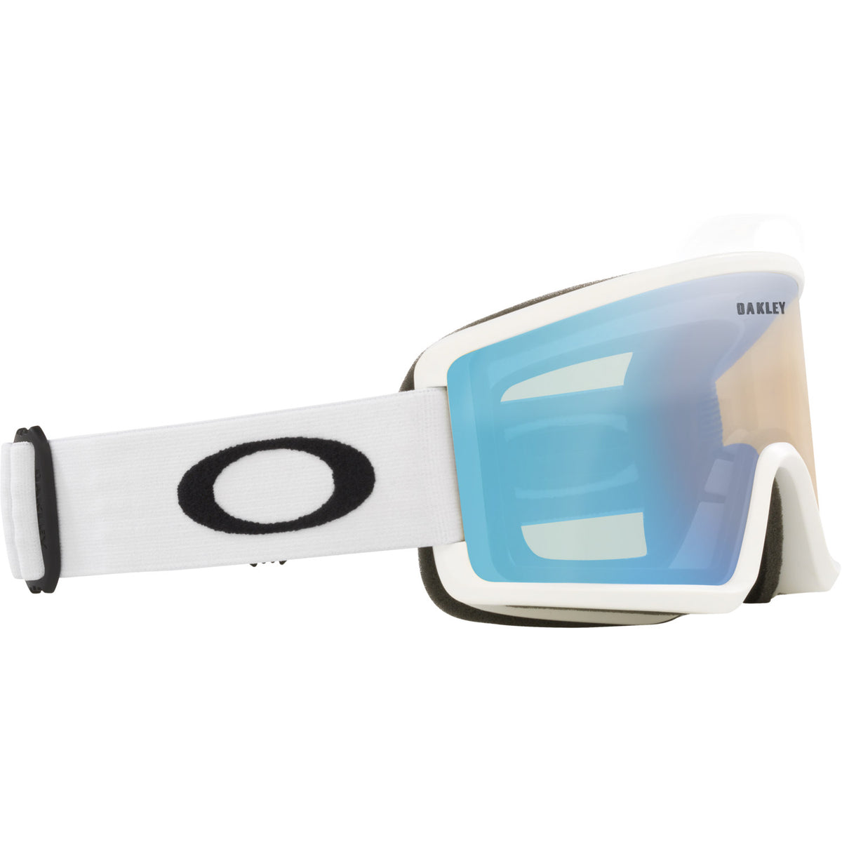 Target Line M Snow Goggle